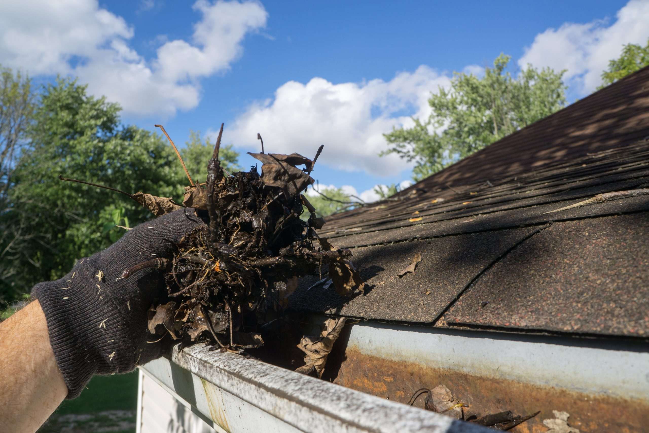 gutter cleaning huntley il