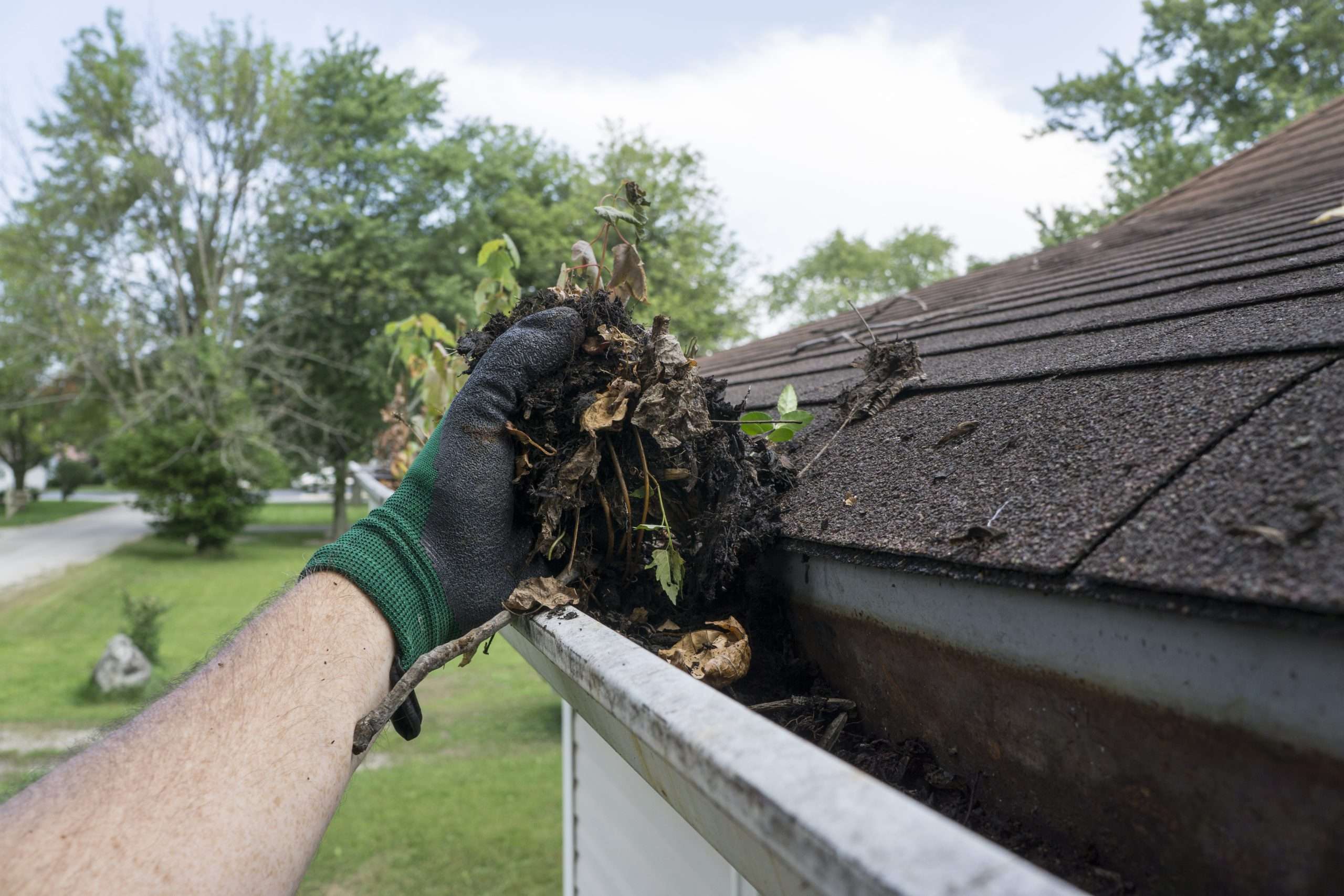 gutter cleaning Fox Lake IL